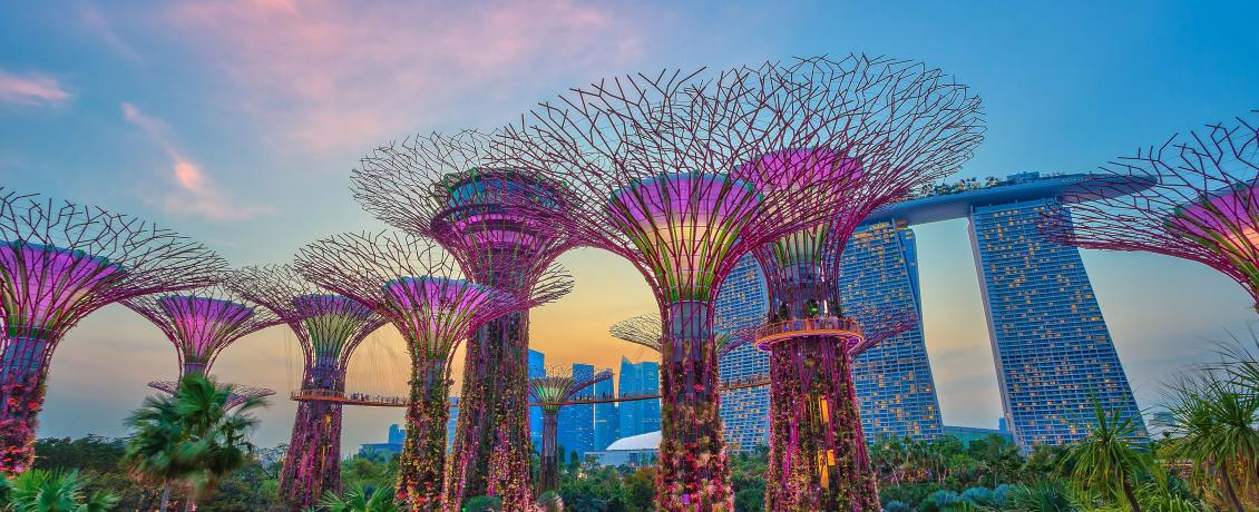 Vibrant Trees in Gardens by the Bay in Sigapore