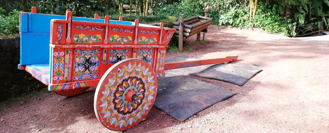 Oxcart in Costa Rica