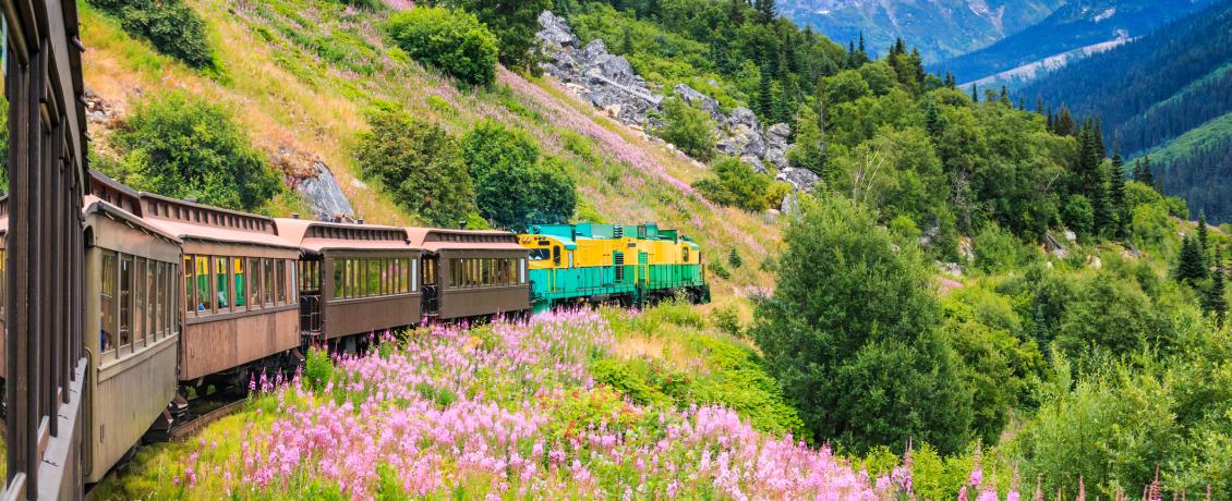 A train chugs up a mountain side along the narrow White Pass and Yukon Route railroad tracks. Pine forests and rugged peaks provide a dramatic wilderness backdrop.