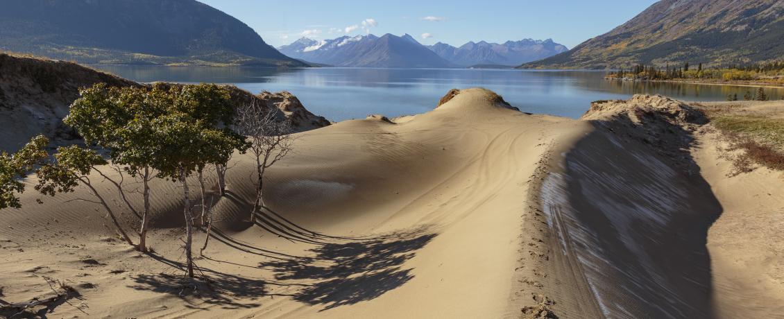 Photo of sand dunes bordering a freshwater lake in the Carcross Desert, Canada.