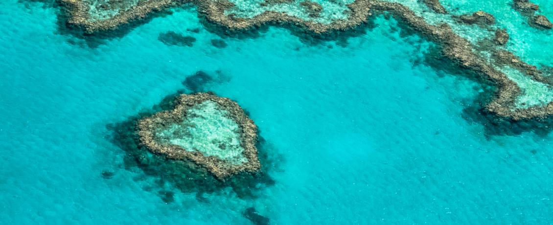 The incredible Great Barrier Reef