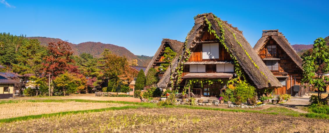 Explore Shirakawago: home to 250-year-old thatched roof farmhouses