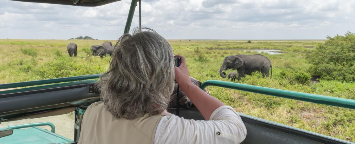 Lady on 4x4 vehicle photographing elephants in South Africa