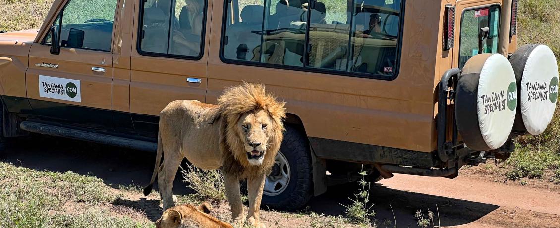 On safari, credit Janet Williams