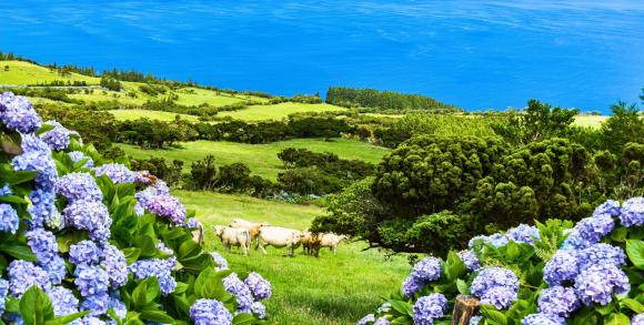 Azores